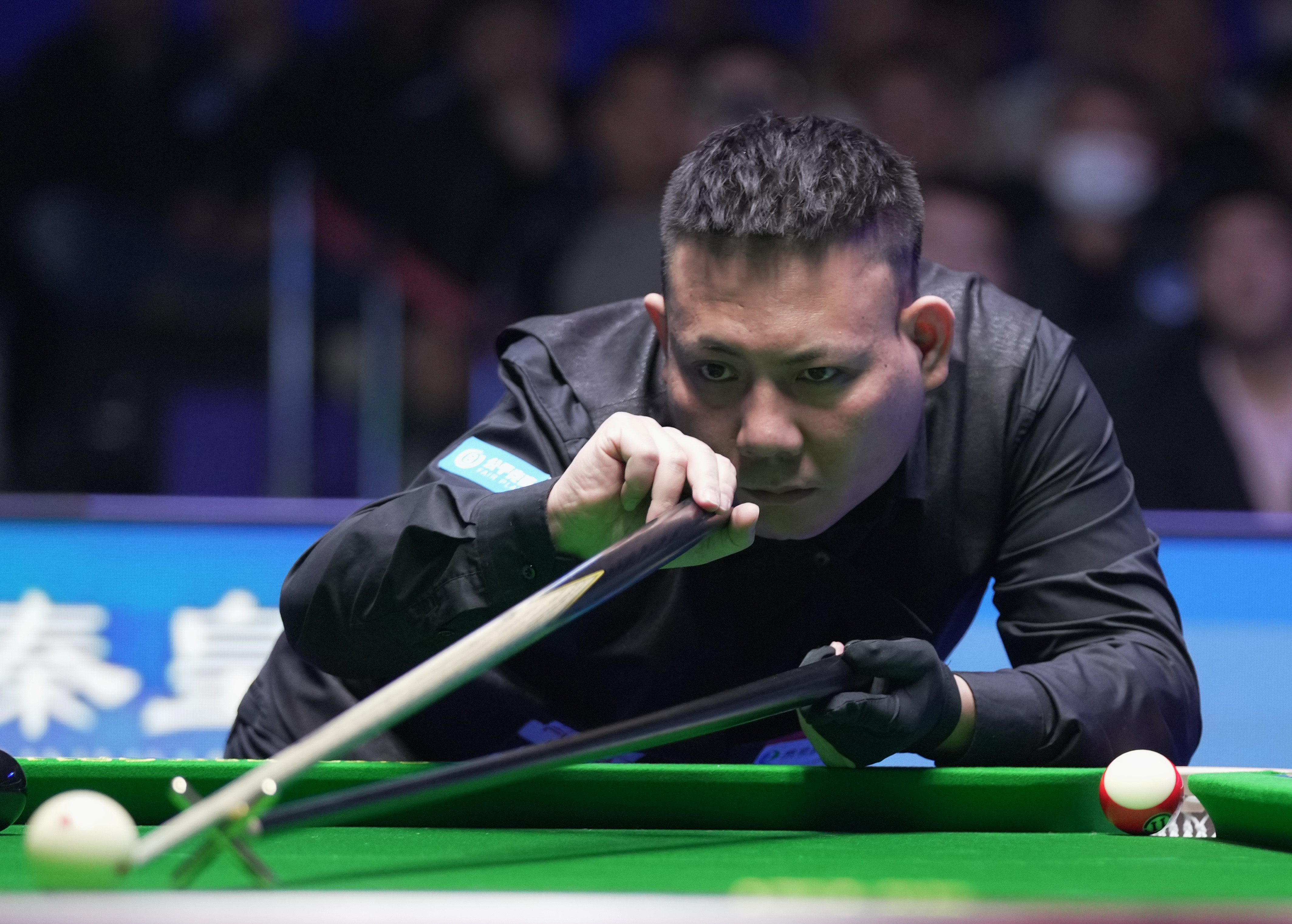 运动领域或 运动领域或